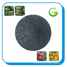 Leonardite Humic Acid (SUPREME HUMIC STAR 100)